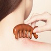 Moniz [1 + 1] Acupuncture & Lymph Node Circulation Massage