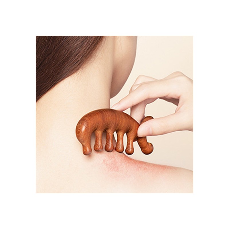 Moniz [1 + 1] Acupuncture & Lymph Node Circulation Massage