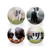 4 x Round Border Collie Coasters - Sheep Dogs Pets