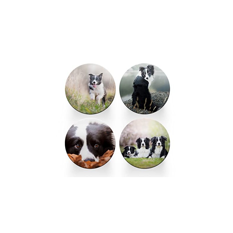 4 x Round Border Collie Coasters - Sheep Dogs Pets