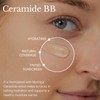 heimish [heimish]*renewal* Moringa Ceramide BB Cream SPF 30 PA++ (8