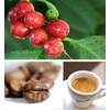 Gimoka - Compatible for Nespresso Professional - Coffee Capsules -