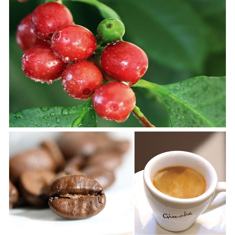 Gimoka - Compatible for Nespresso Professional - Coffee Capsules -