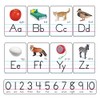 Trend Photo Alphabet Cards Zaner-Bloser Manuscript Bulletin Board Set, ABC