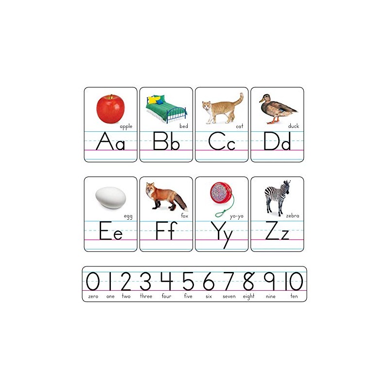 Trend Photo Alphabet Cards Zaner-Bloser Manuscript Bulletin Board Set, ABC