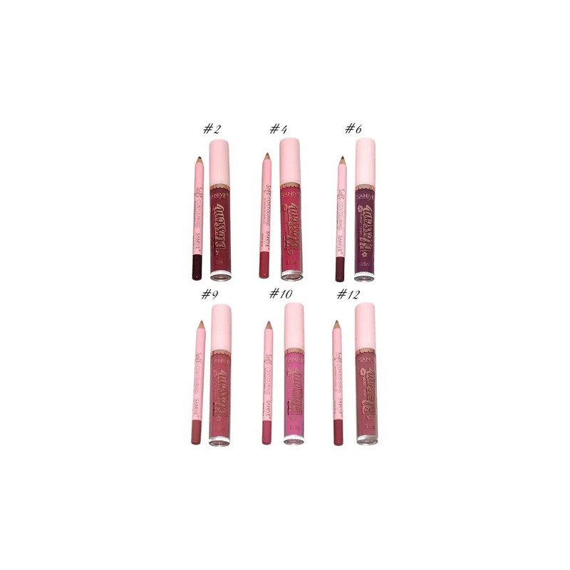 Labiales Líquidos Mate Con Lápiz Delineador Kit 12 Piezas