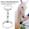Horse Gag Ring Snaffle Bite Stainless Steel 125mm Loose Oval