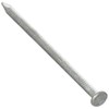 NATIONAL NAIL 54155 5-Pound 8D Galvanized Commercial Nail