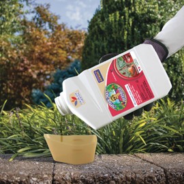 Bonide Captain Jack's Deadbug Brew, 32 oz Concentrate Outdoor Insecticide and Mite Killer for Organic Gardening