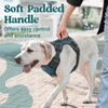 rabbitgoo Dog Harness for Large Dogs, No Pull Pet Harness
