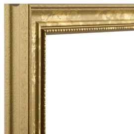 Craig Frames 314GD 11 by 17-Inch Picture Frame, Ornate Finish.75-Inch Wide, Ornate Gold