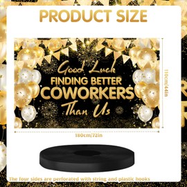 Farewell Decorations, Colleague Going Away Party Decorations Farewell Decorations Party Good Luck Decorations, Coworker Leaving Decorations Goodbye Party Decorations