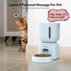 Automatic Cat Feeder and Water Dispenser FW1, Wire or Battery