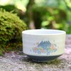 Dolce duo MW-1855 Matcha Bowl, Sakura Fuji Mino Ware, 4.3