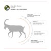 Shinobu Synov Recovery Cream 100ml + Large Sample Capacity /