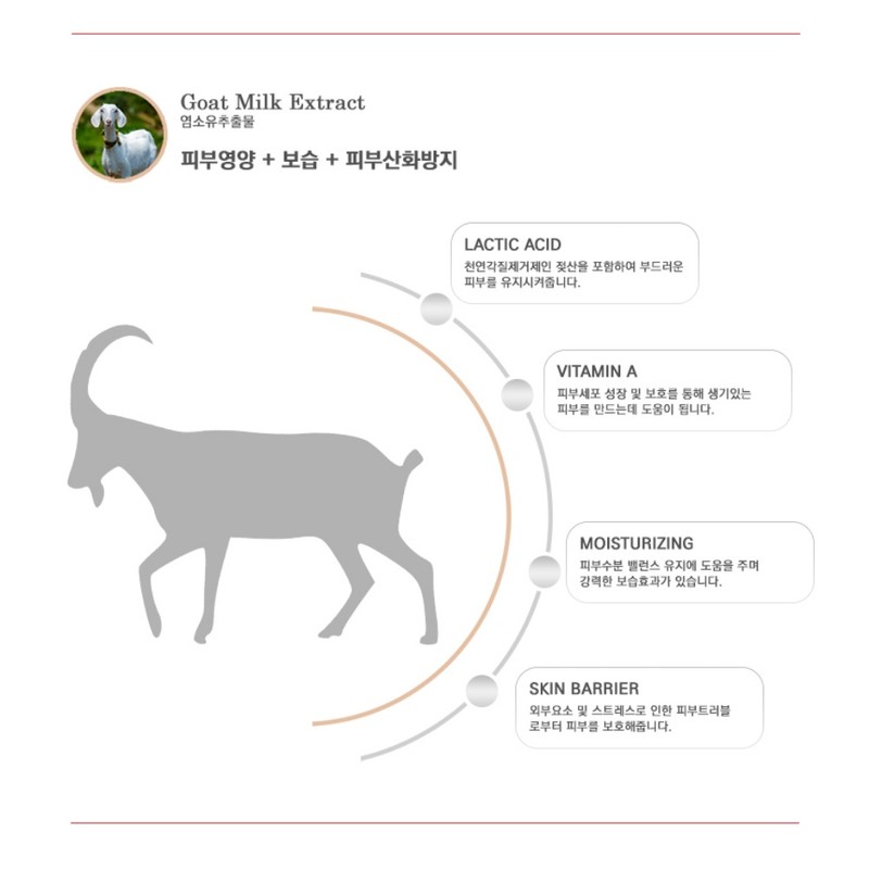 Shinobu Synov Recovery Cream 100ml + Large Sample Capacity /