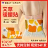 Mugwort & Safflower Warm Steam Hot Pack for Waist and Abdomen Piece 5ea