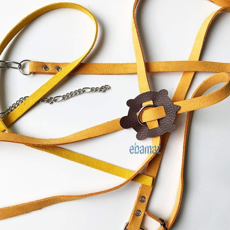 Adjustable Turtle Harness Leashes Soft Leather Harness Strap for Tortoise