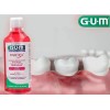 Paroex Colutorio Gum Accion Intensiva 500ml Placa Y Cirugía