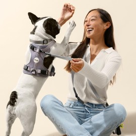 THE LICKER STORE WLK1005N-5SET Luna Medium 8FT Adjustable 6-in-1 Waterproof Hands-Free Leash and Collar with LED Flashlight, Bag Dispenser, and Poop Bag Holder, Martini