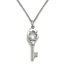Loralyn Designs Small Medieval Skeleton Key Necklace Stainless Steel Chain (16-24 Inch) (16)