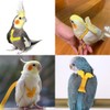 FORZENA Birds Adjustable Harness and Leash, Parrot Outdoor Flying Training