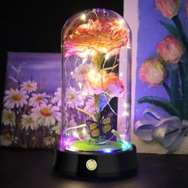 QUELIEN Carnation Flowers Gifts for her,Mothers Day Flowers Gifts for Mom,Pink Artificial Carnation in Glass Dome with Led Light for Mother's Day,Valentine's Day,Birthday,Christmas