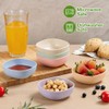Set of 6 Multicolor Wheat Straw Plastic Bowls - Small