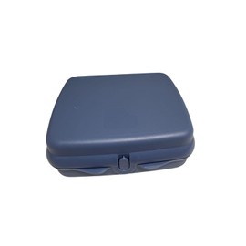 Tupperware Sandwich Box Storage Box Lunch Box Square with Hinge and Latch and Designs (Blue)