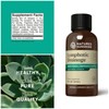 Detox Duo: Lime Chlorophyll & Lymphatic Drainage; Detox, Debloat &