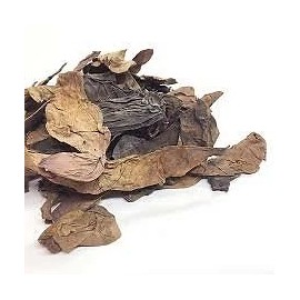 BLUE LOTUS SUN DRIED NYMPHAEA CAERULEA ORGANIC 1 OZ (28GRAMS)