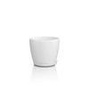 LECHUZA Classico Color 10 Deco 16661 Table Pot Matte Surface