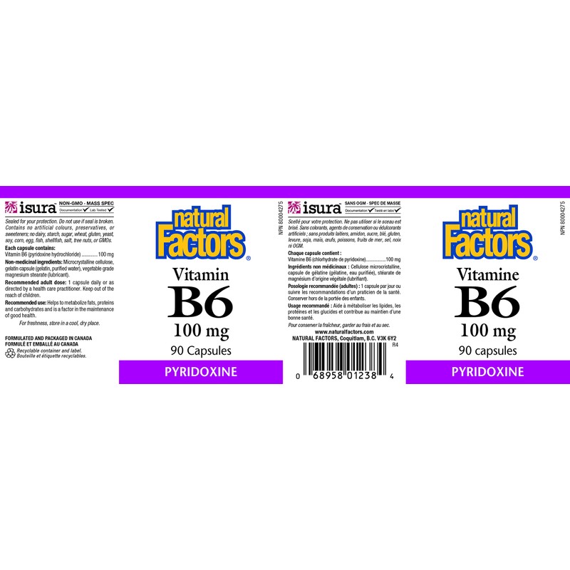Natural Factors B6 100 mg, 90 Caps
