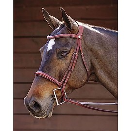Dover Saddlery Ergonomic Hunter Bridle - Oakbark - Horse-F/S