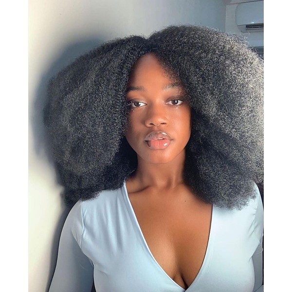 Premium Afro Wigs Natural Curls 22 Inch Wigs for Black Women Full and Natural Looking 180% Density (Natural Black #1B)