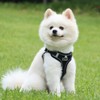 Dog Harness Medium Breathable Vest Adjustable Cat Harnes and Lead