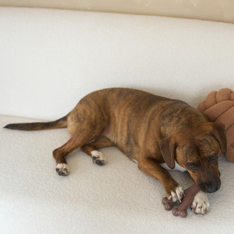 SPOT Bam-Bones Wishbone - Made with Strong Bamboo Fiber, Durable