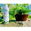 Bonsai Tree Food | Liquid Fertilizer for Bonsai Trees -