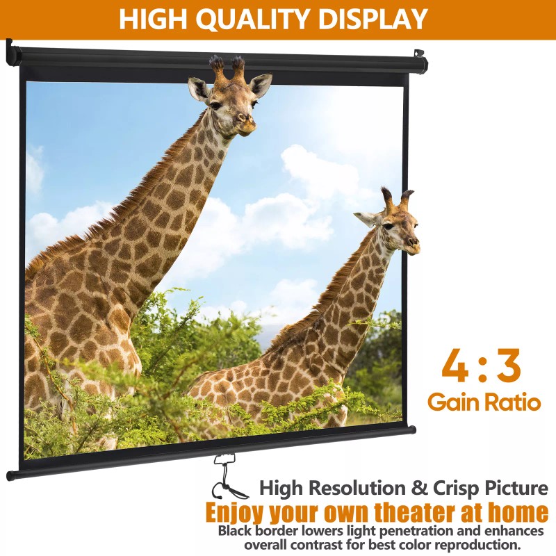 SEGAWE 72" Diagonal Dimension Pull Down Projection Movie Theater Screen