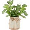 Northlight Reticulated Artificial Spring Foliage in Ceramic Pot - 8"