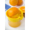 Fox Run Manual Juicer Set, 5602, Plastic and Glass, 1