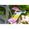 Balancing Bird Toy 6.5 Inch Wing Span-Colors May Vary by