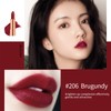 Newvenper Matte Lipstick Set 3 Colors Lip Stick with Sliver