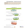 NewPath Cell Organization 3-D Model Making Kit - Individual Student