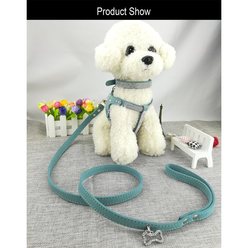 Newtensina Dog Collar & Harness & Lead Sets Fashion Dog