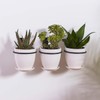 CENPEK 3 x 6 Inch Wall Mount Flower Pot Ring