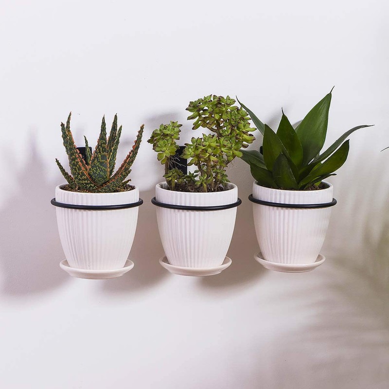 CENPEK 3 x 6 Inch Wall Mount Flower Pot Ring