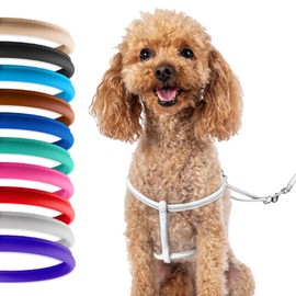 CollarDirect Rolled Leather Dog Harness Small Puppy Step-in Leash Set for Walking Pink Red White Blue Green Black Purple Beige Brown Yellow (White, XS)