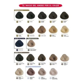 Tinte Alfaparf Profesional Color Amore 90 Ml  Peroxido Tono 9.1                                                                                       