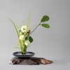 Woration Japanese Ikebana Vase & Flower Frog Kit, Floral Art